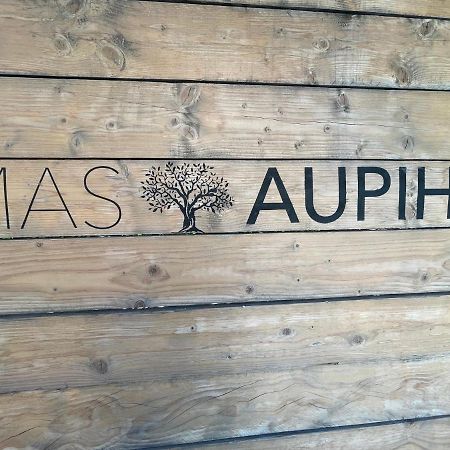 Vila Mas Aupiho Saint-Rémy-de-Provence Exteriér fotografie