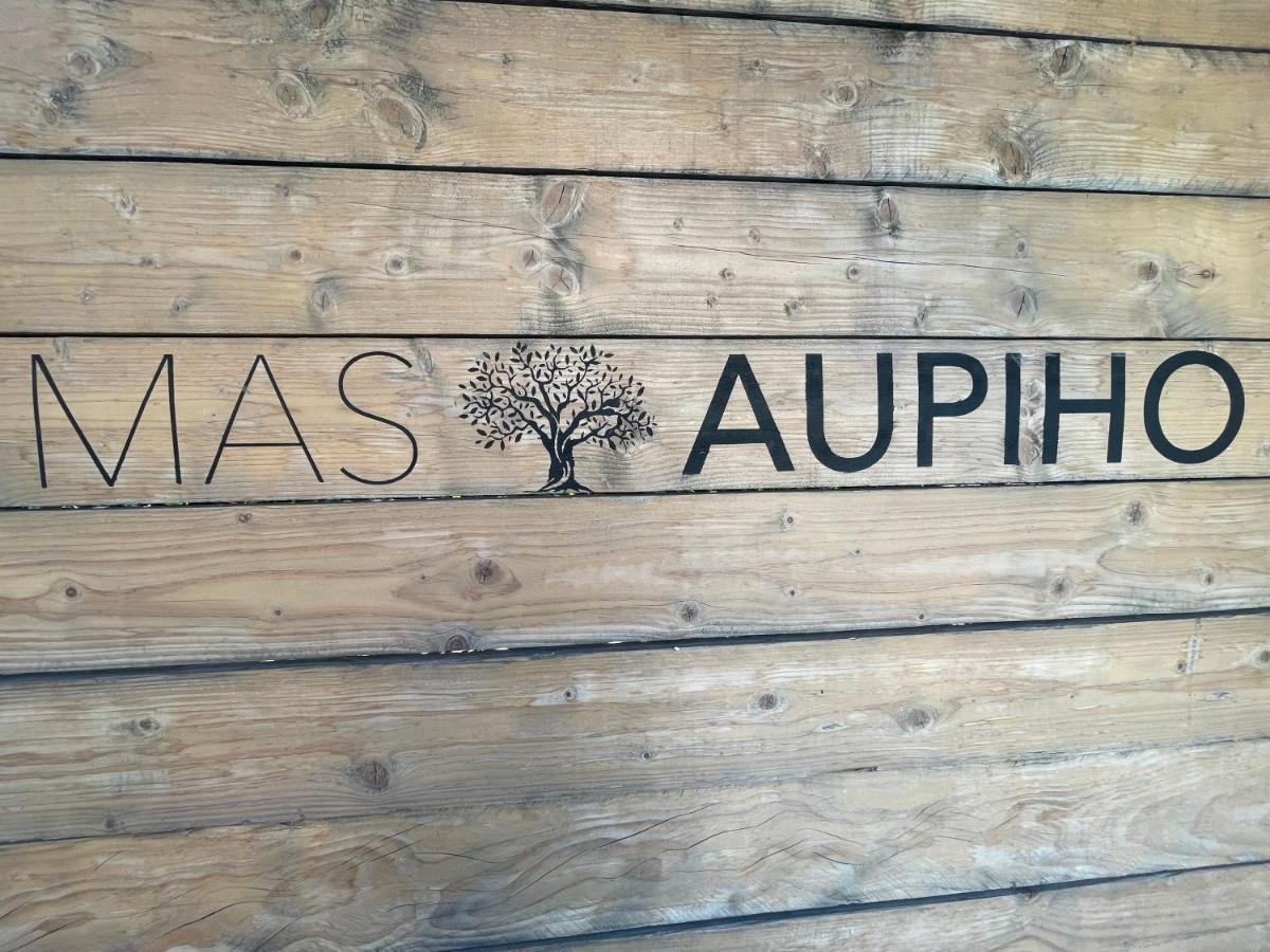 Vila Mas Aupiho Saint-Rémy-de-Provence Exteriér fotografie